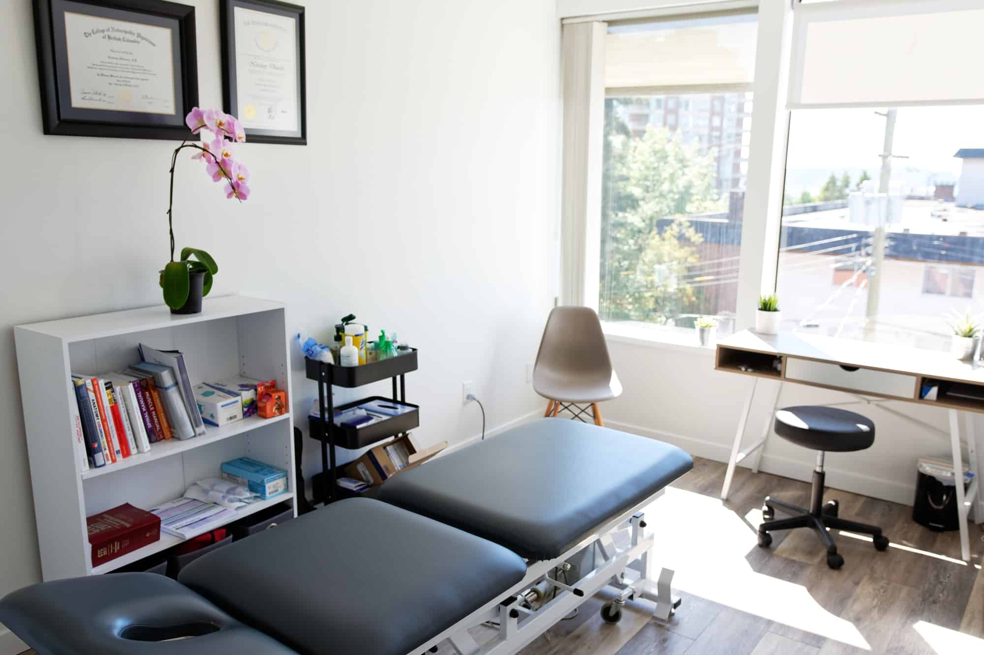 Purple Lotus Mental Health (TEST) photo 5